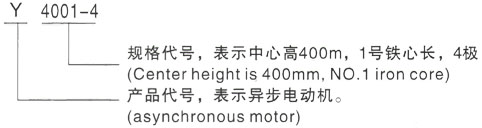 西安泰富西玛Y系列(H355-1000)高压吴兴三相异步电机型号说明